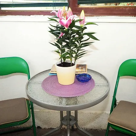 Vilma Appartement Zadar