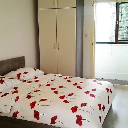 Vilma * 자다르